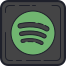 spotify icon